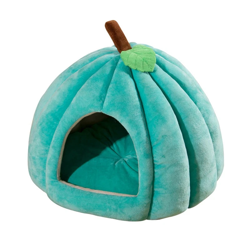 Balkabağı Kedi Yuvası