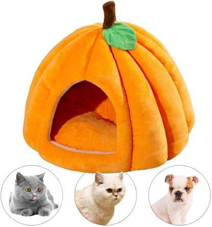 Balkabağı Kedi Yuvası