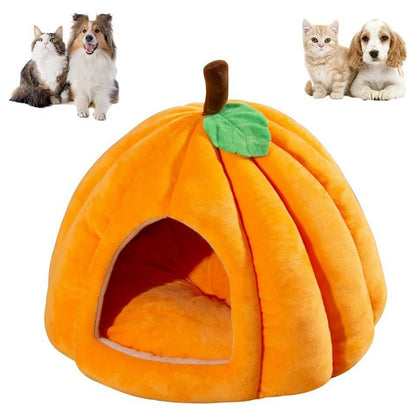 Balkabağı Kedi Yuvası